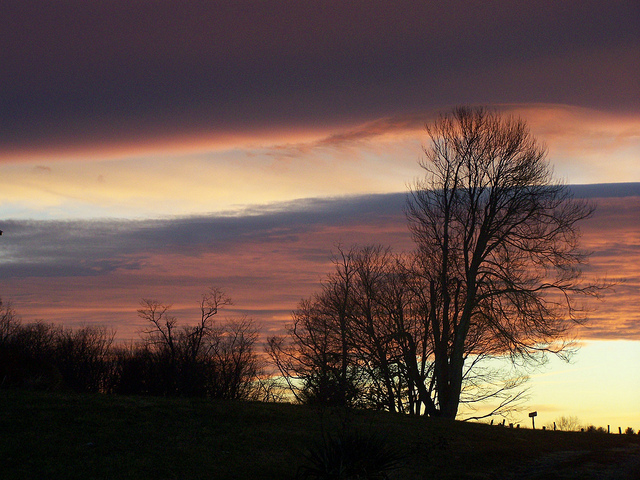 8221317368_f81e9da55a_z