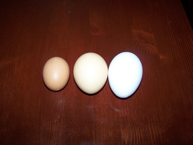 7494751038_36de7d5f78_z