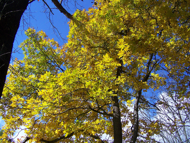 10743038625_3a7ba4157b_z