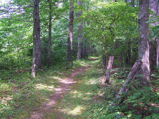 7468599574_b898e3f551_z