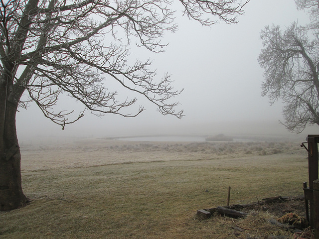 12322883333_2956d70296_z