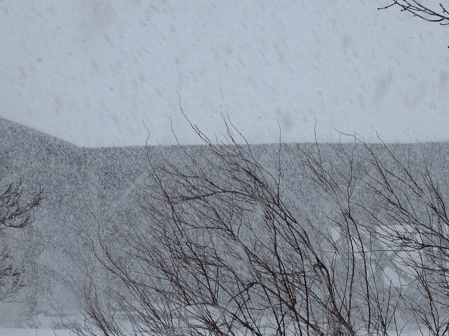 12504475004_20a74f3772_z