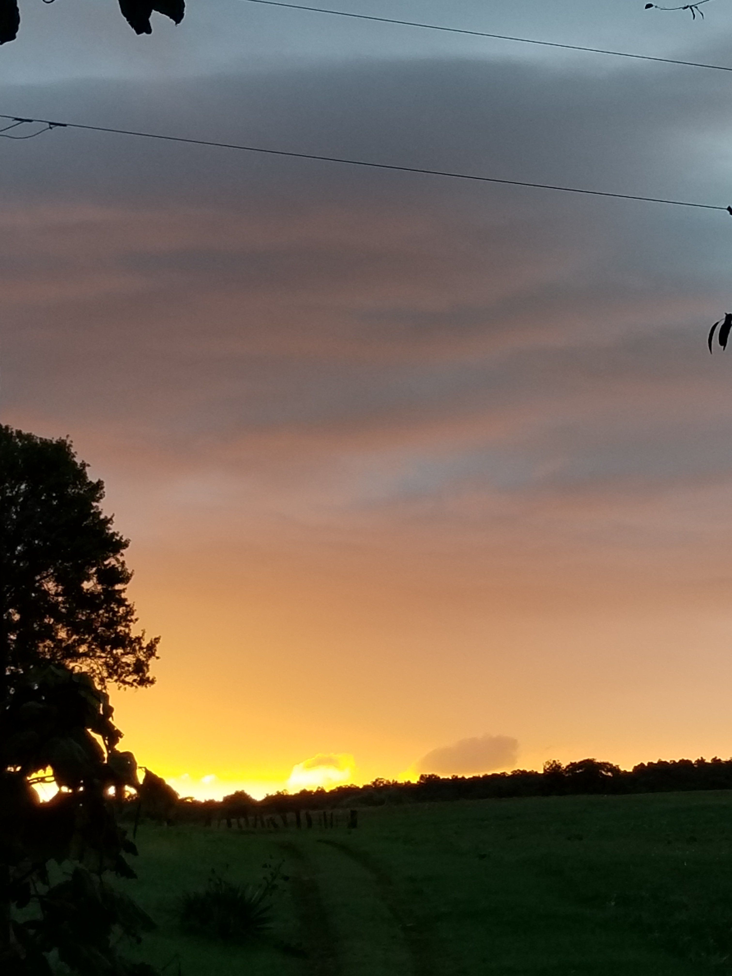 Good Morning Good Morning