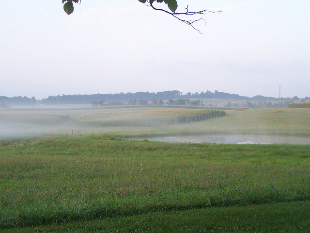 7727218862_f77198a8ed_z