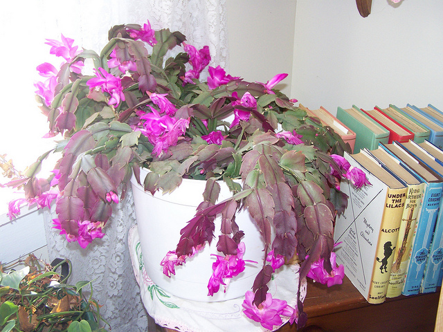 8190537437_1c5556cf61_z