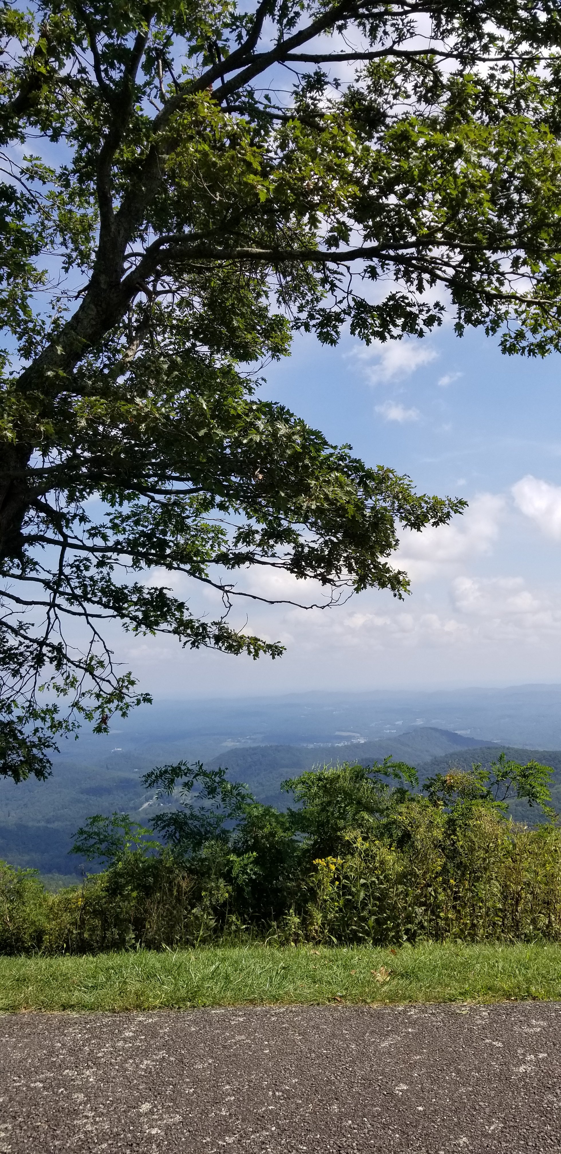 Rocky Knob