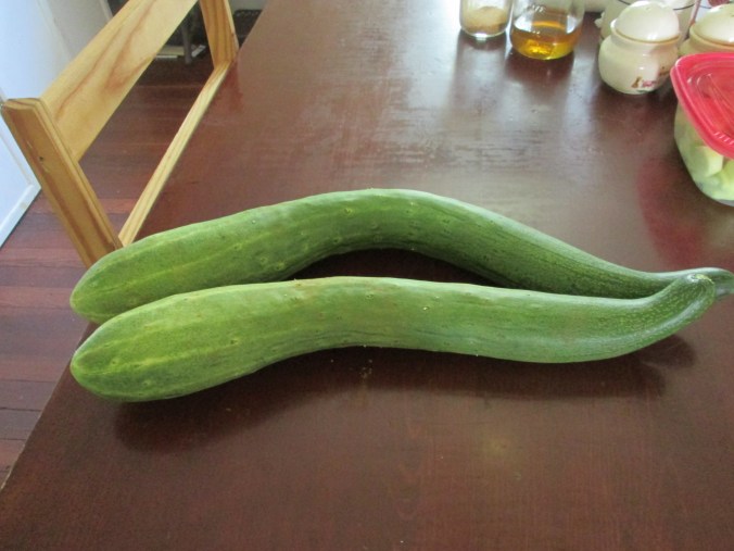 Crazy Cucumbers
