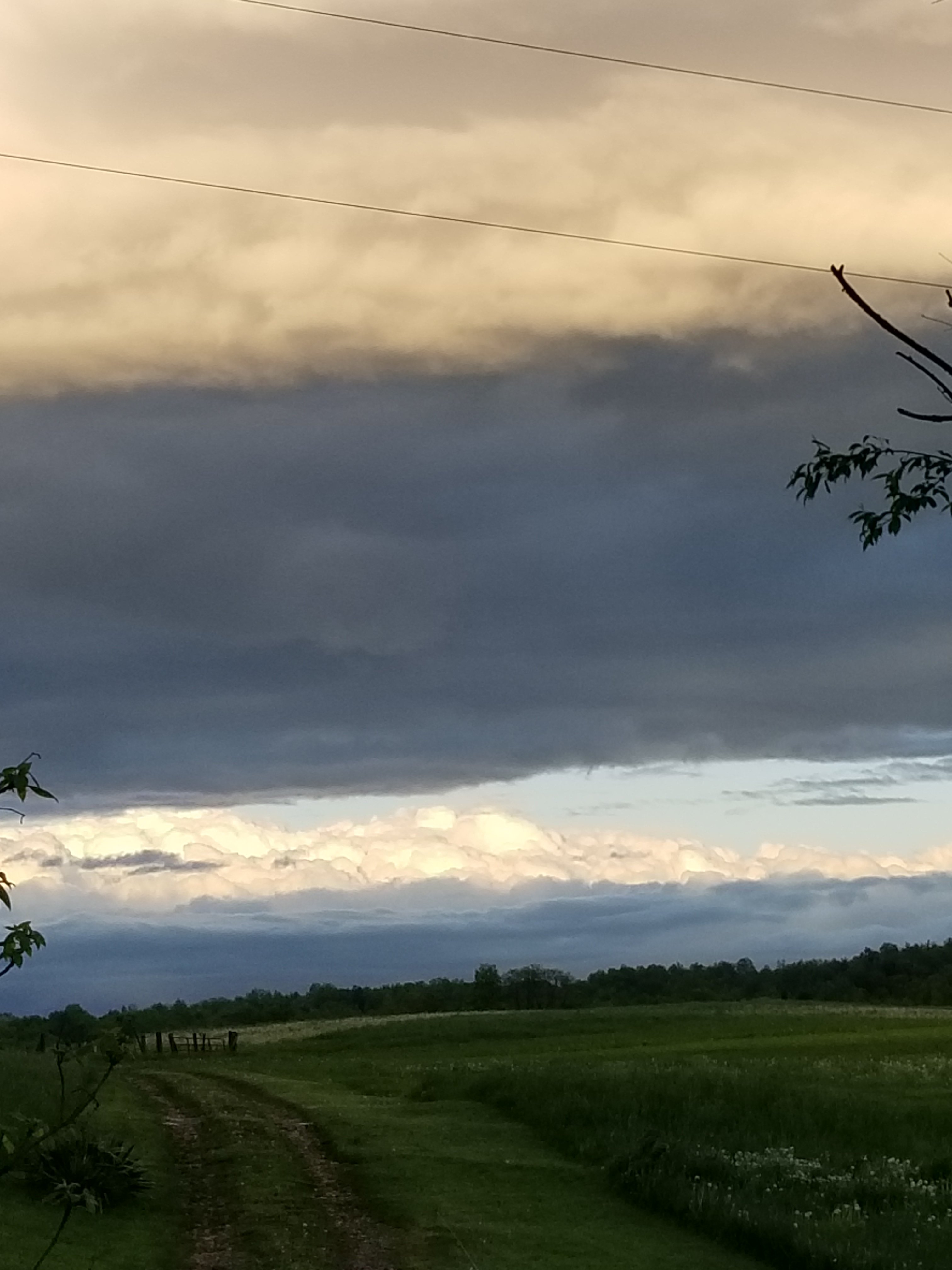 Happy Monday Happy Monday