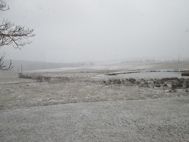 12101031815_a75ba90474_z