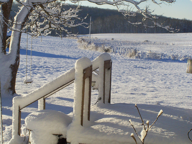 8391666941_5061fed188_z