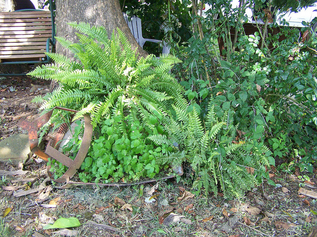 9722325395_ed04674d9d_z