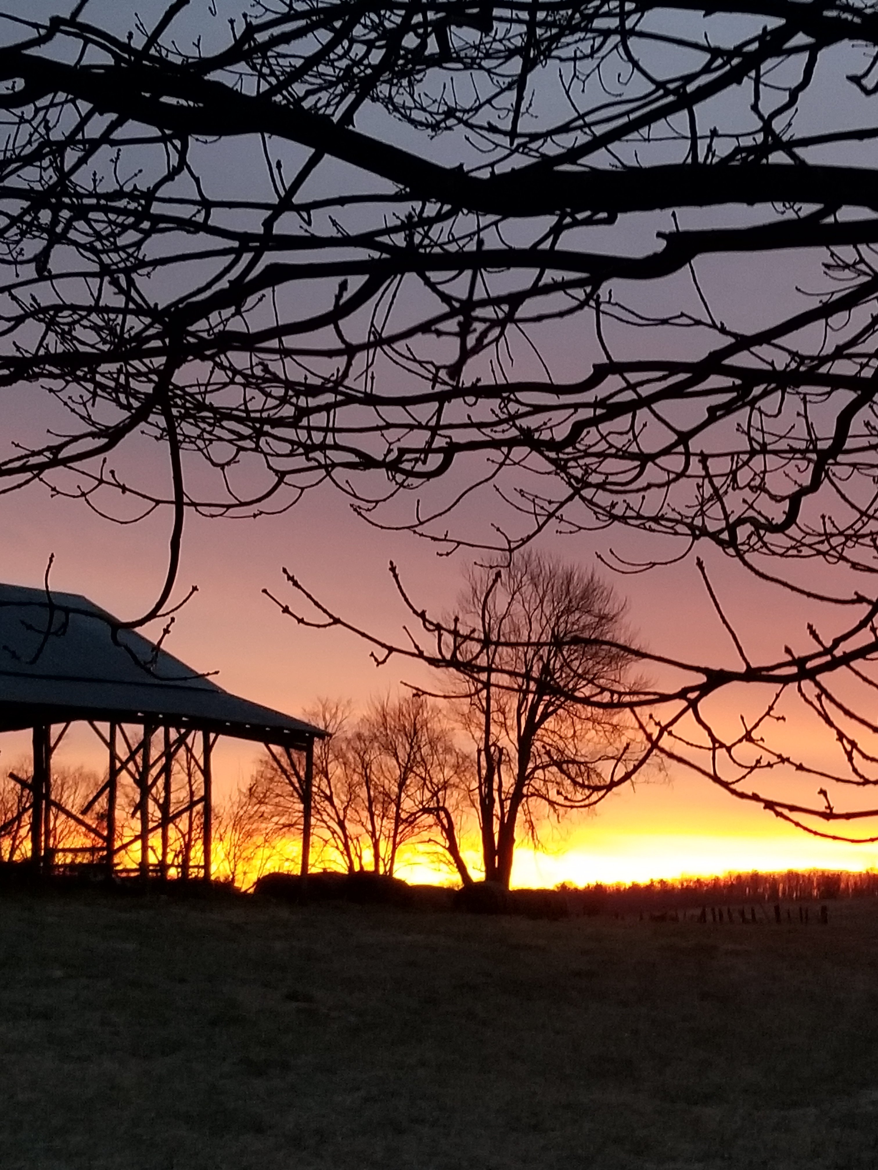 Good Morning Good Morning