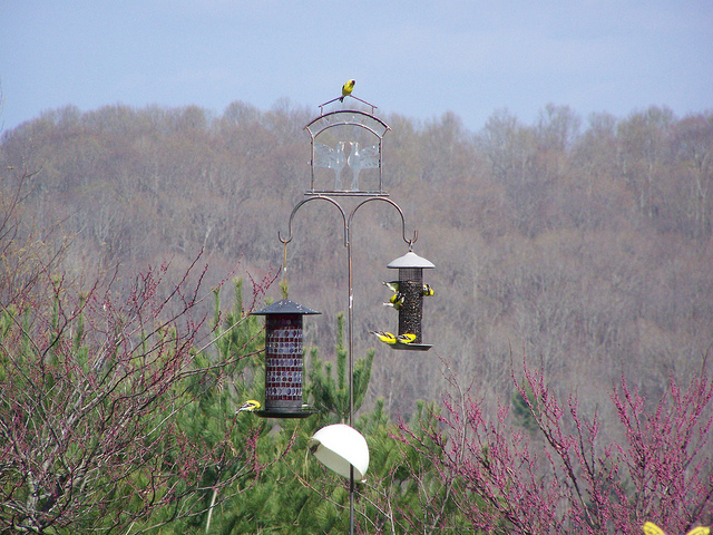 8658687342_d6c9c08384_z