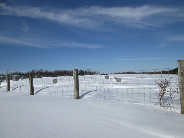 12540835824_1d29327671_z