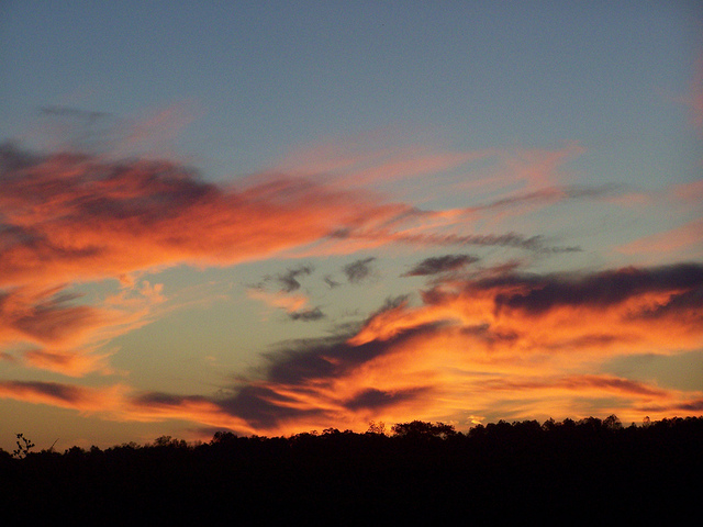 8093631661_7434d9b1a8_z