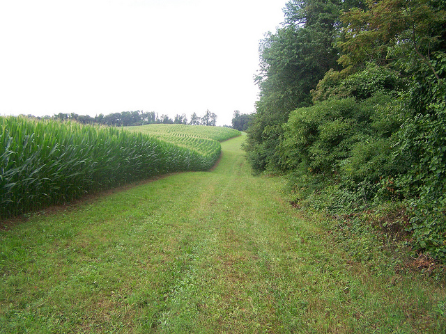 7795966214_39b4d8dcb0_z