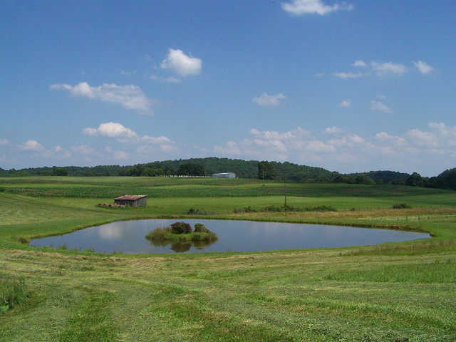 7435221582_e329c07697_z