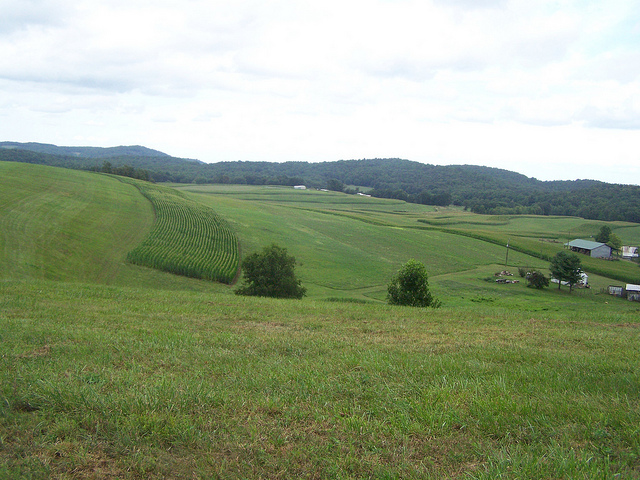 7780485942_e4cc959cde_z