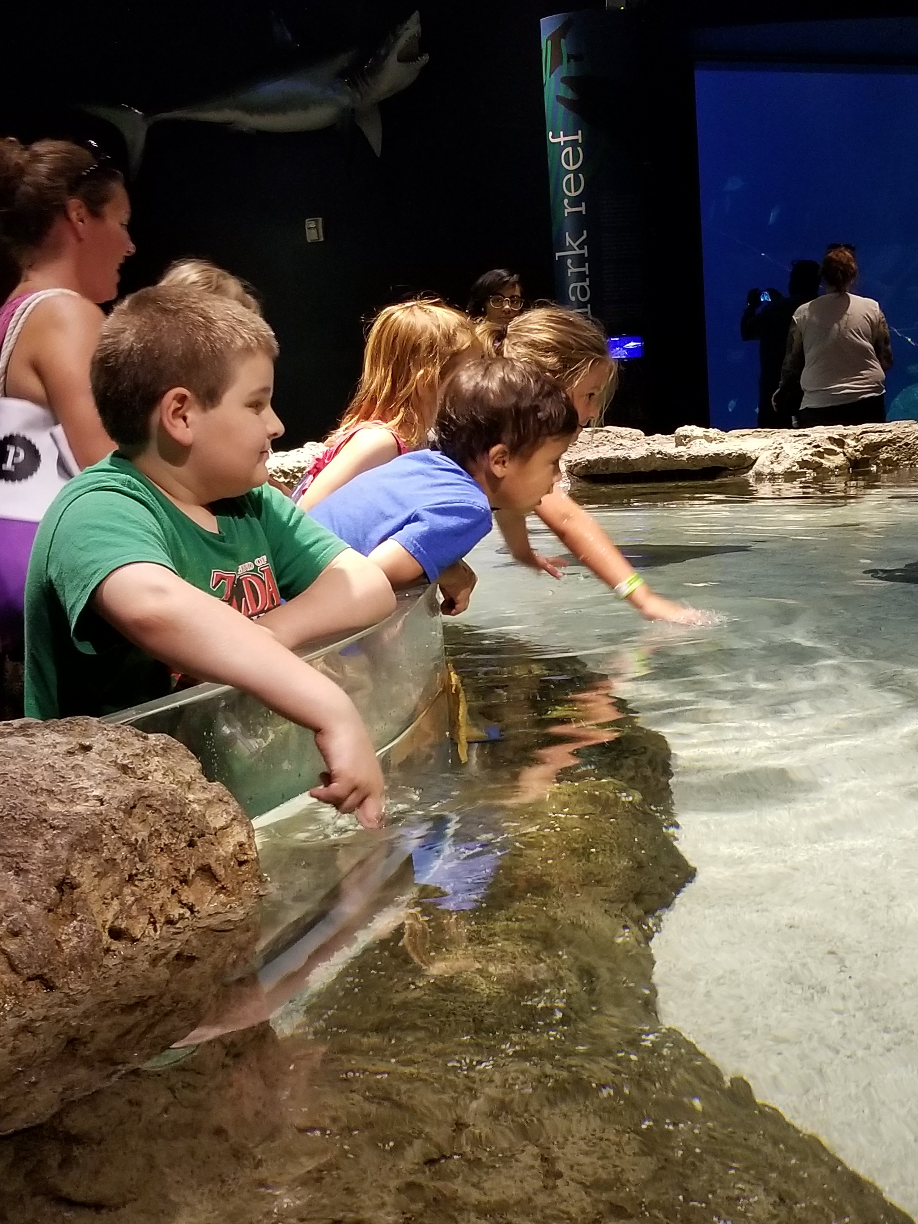 Sam’s Birthday Trip