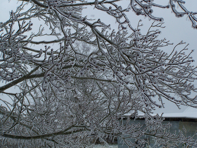 8310489441_f47698043c_z