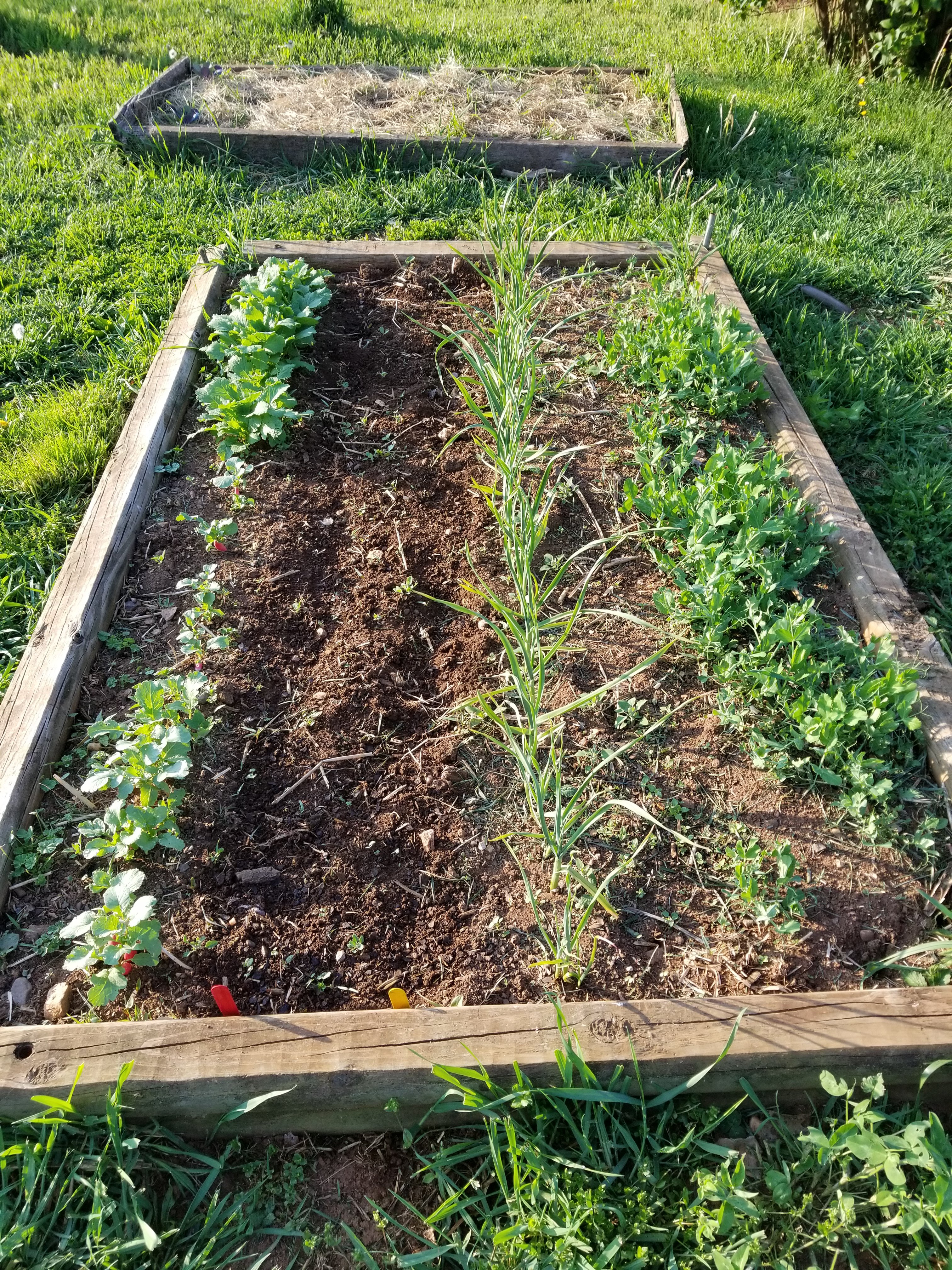 Garden Update and&nbsp;More