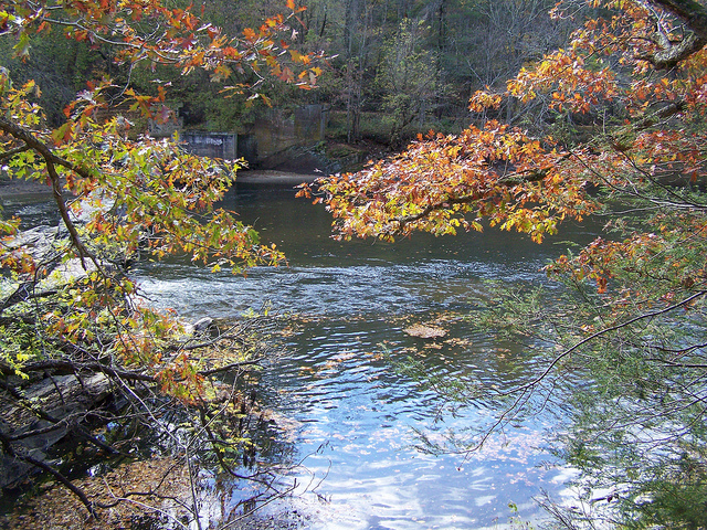 10743120254_31c25ed46a_z