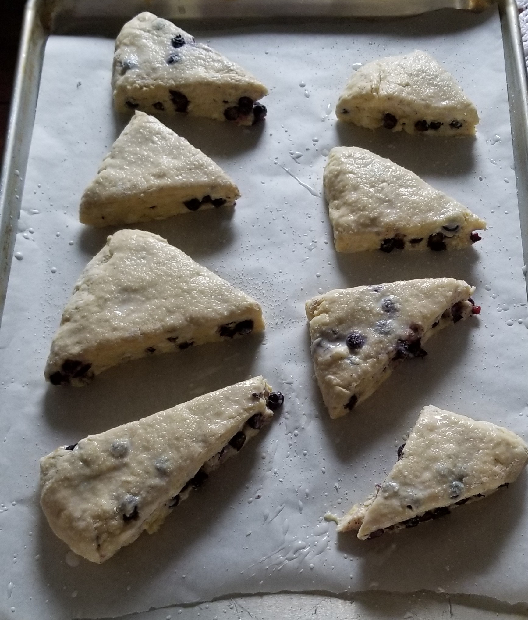 Blueberry Scones
