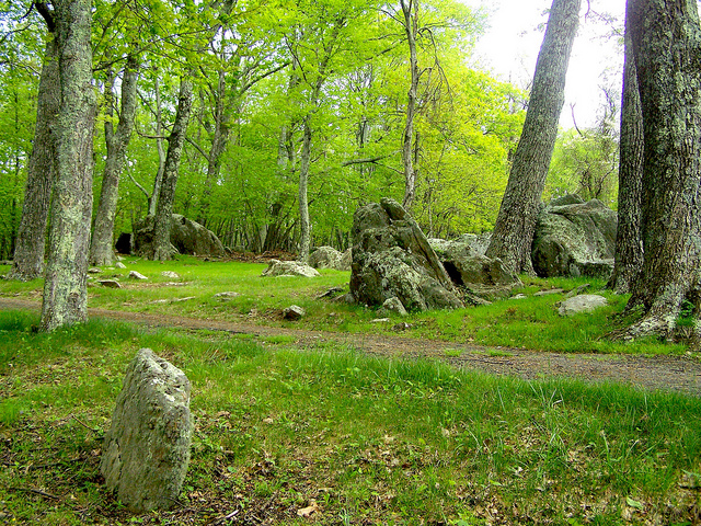 8818557088_8a3bfe9fd4_z