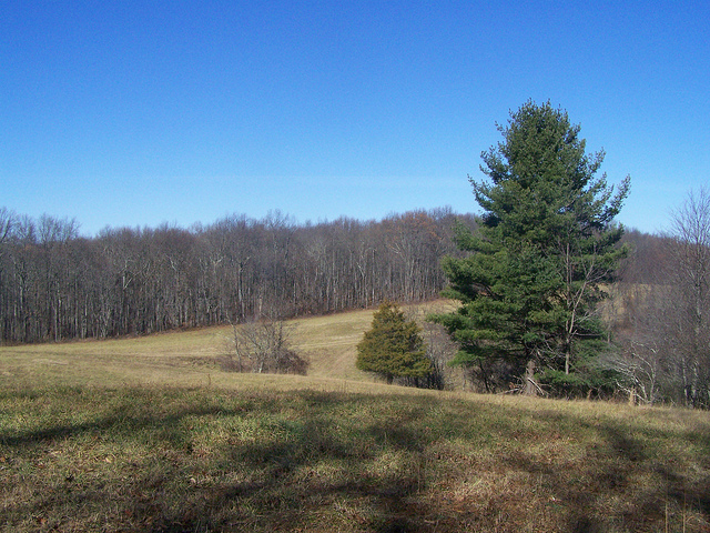 8238314799_455943567d_z