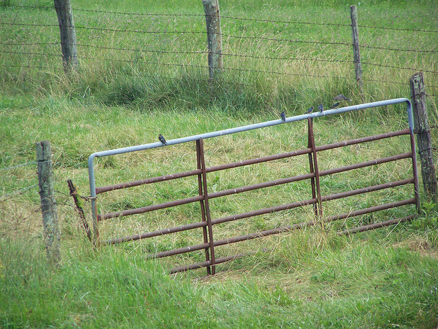 7456200688_4b984108a8_z