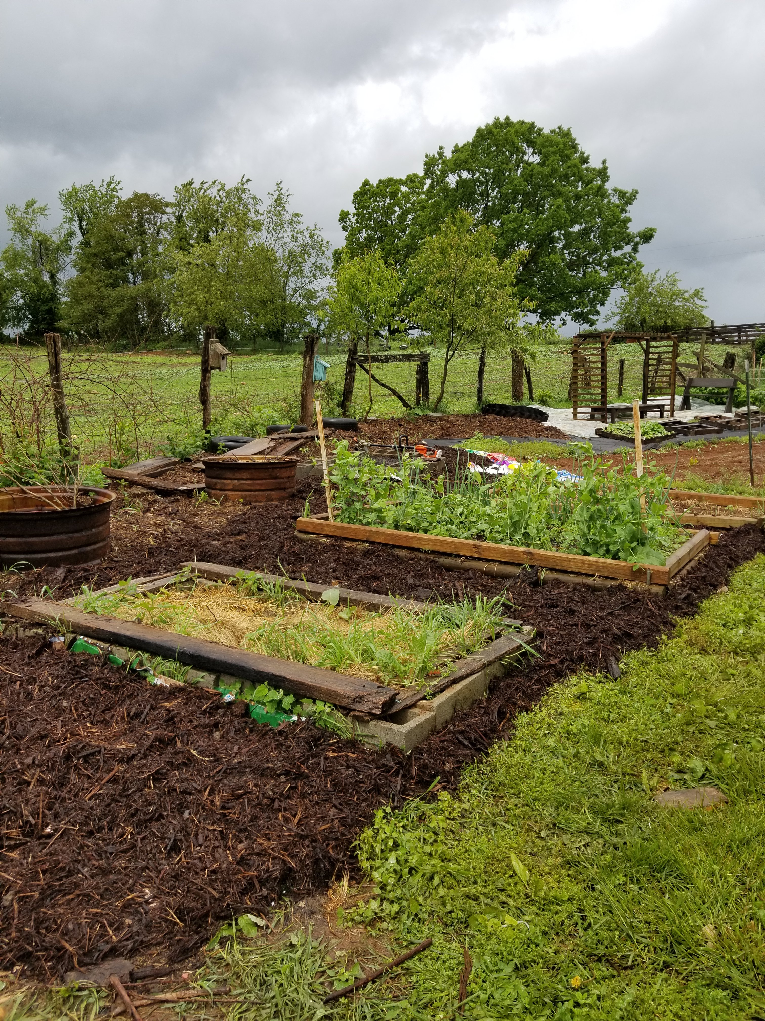 Mother’s Day Mother’s Day