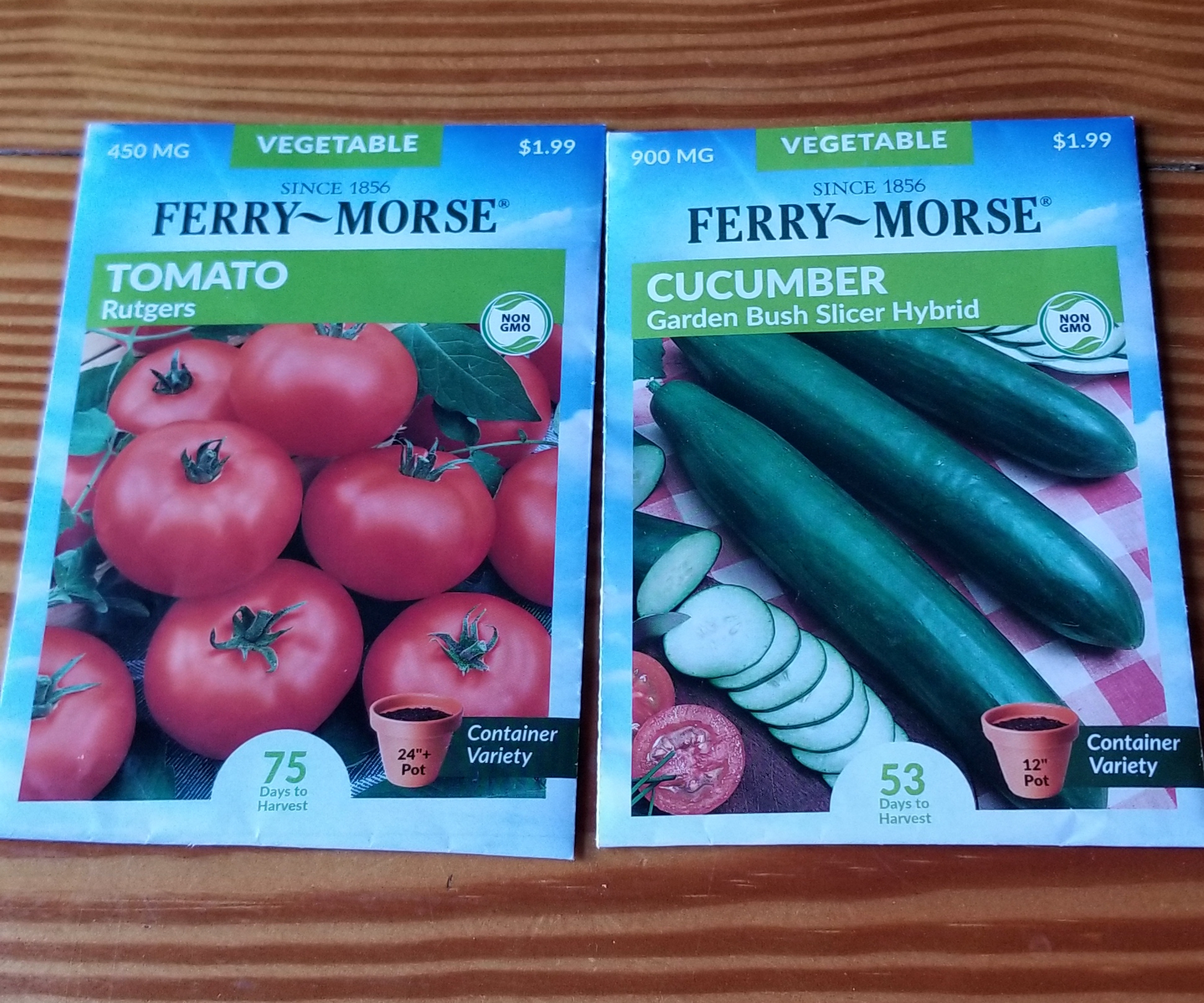 And So It&nbsp;Begins