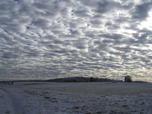 8322245154_0625a9a553_z