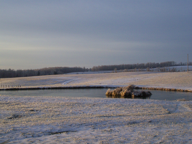 8317163743_fe446956a5_z