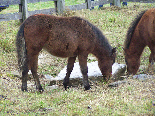 8037154109_f09baf242d_z