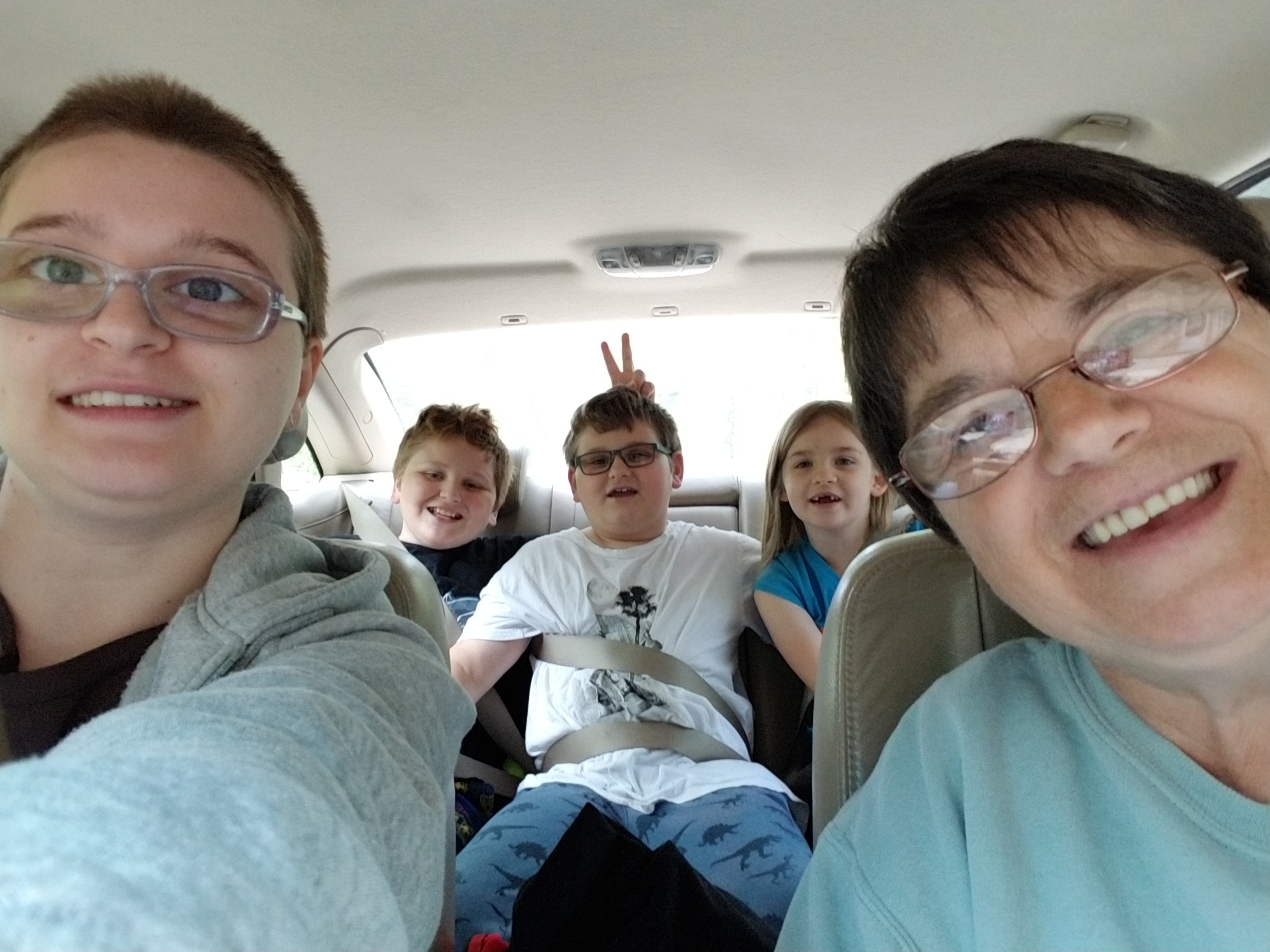 Strawberry Picking Strawberry Picking