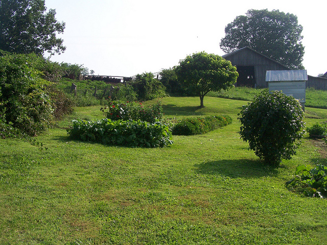 9608500752_c727bfe064_z