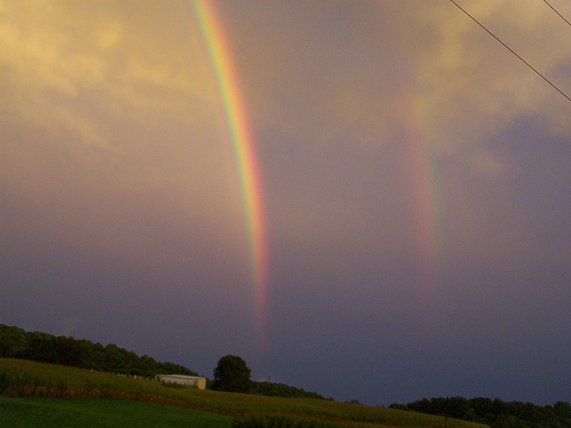 9904108265_96efd2c9b5_z