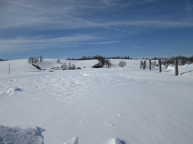 12540824554_bb4124ae55_z