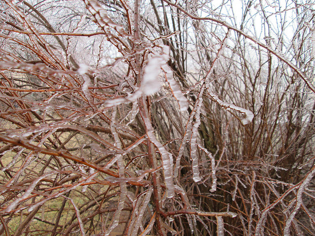 12322855463_978457c454_z