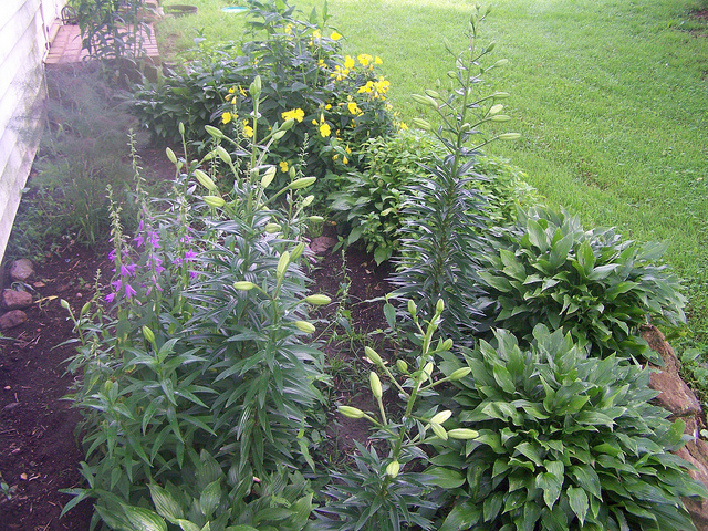 9085279046_00cc185b55_z