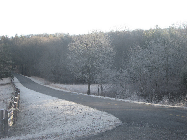 11971344764_895fcfd233_z