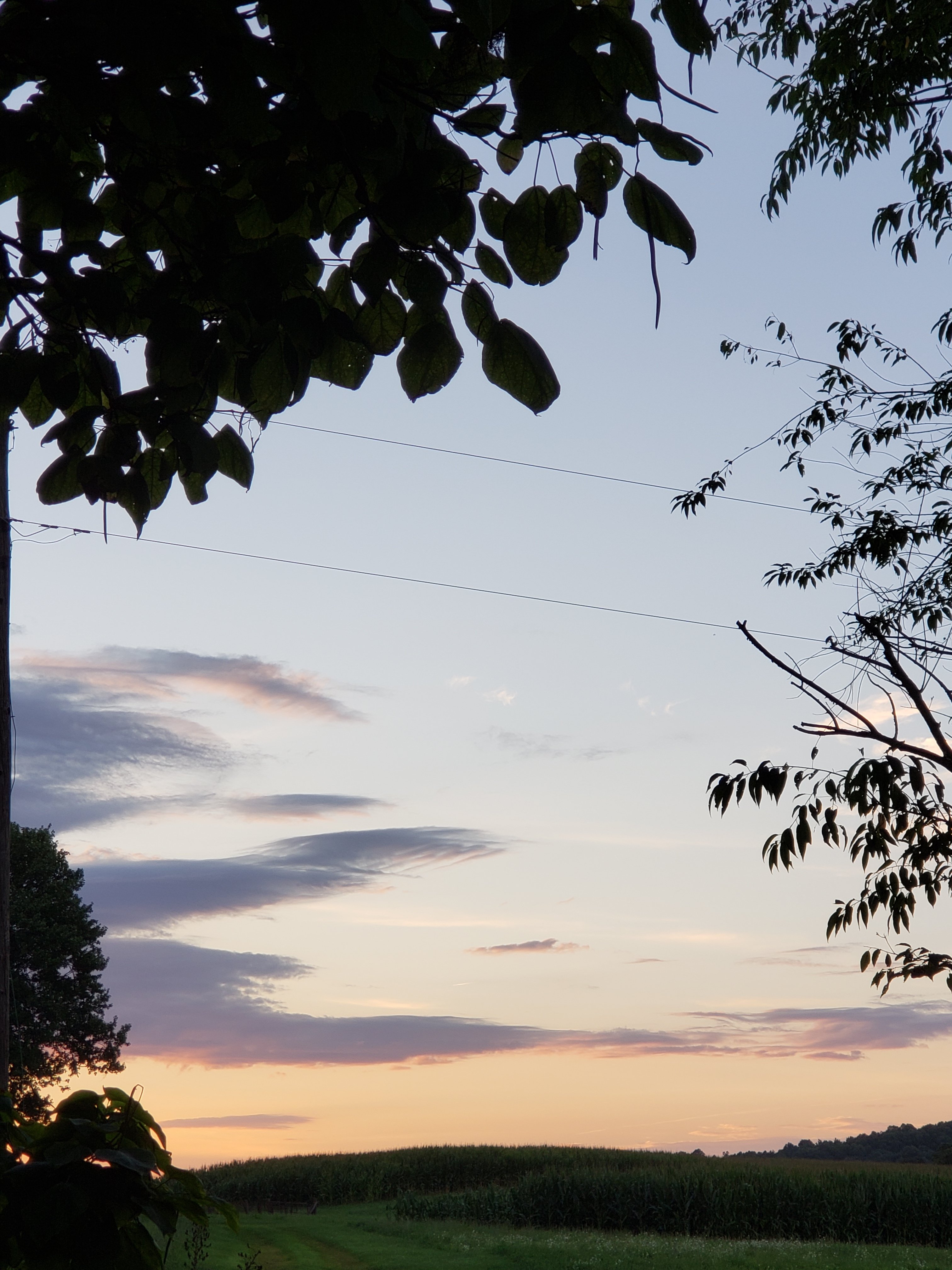 Good Morning Good Morning