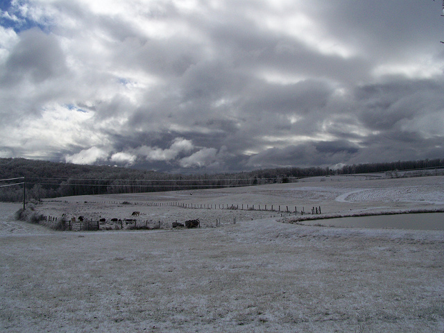 8311588846_4424042e23_z