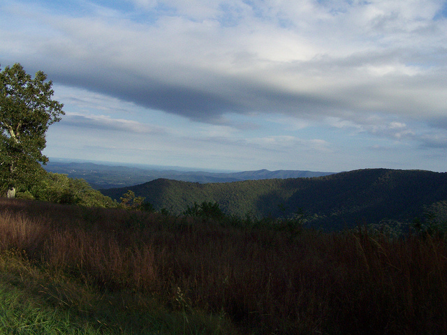 10124381706_08227d340c_z