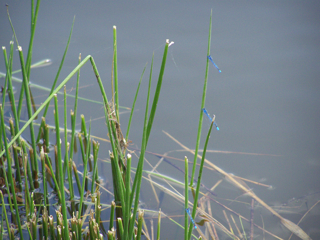 7456198192_24f38b2b7e_z