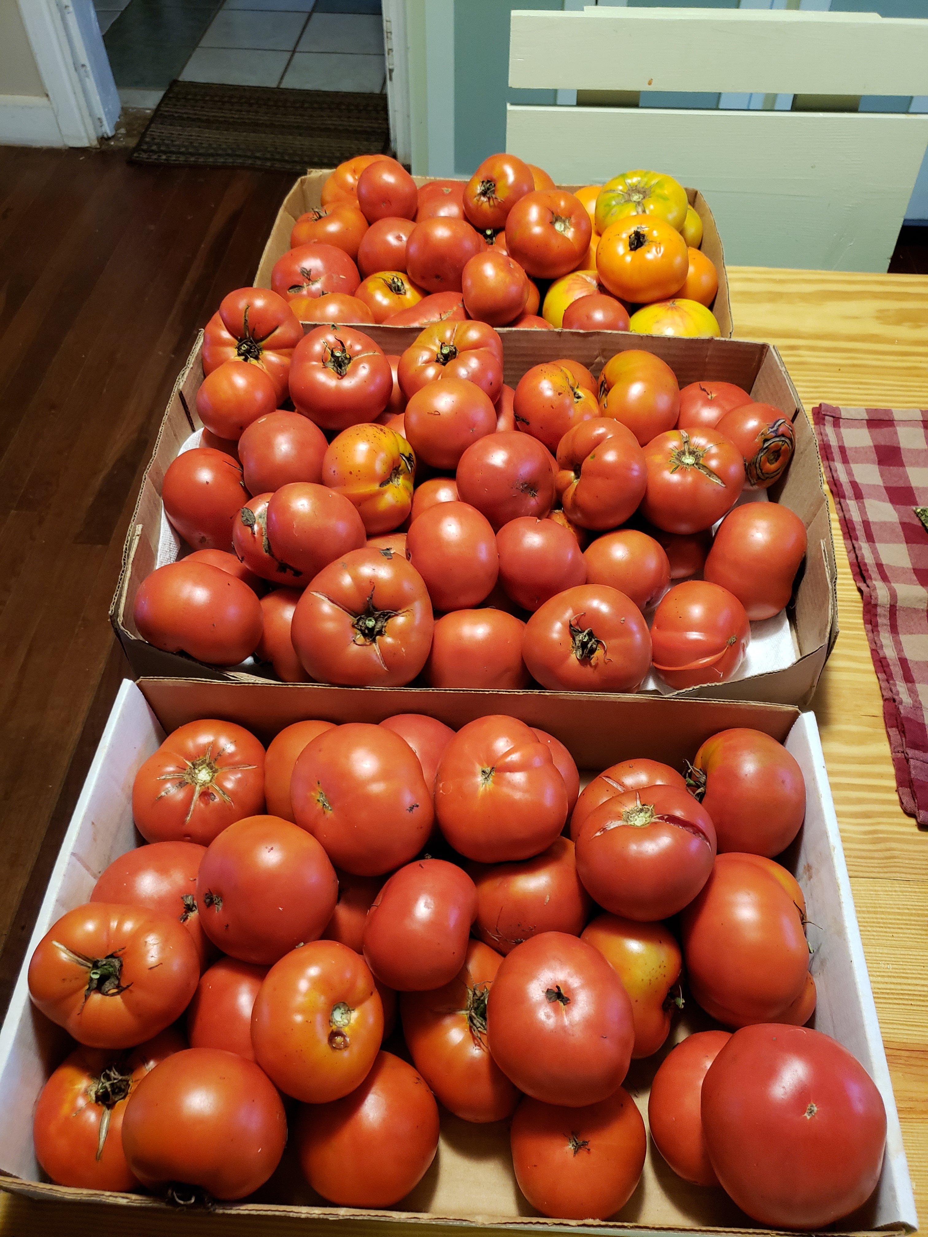More Canning More Canning