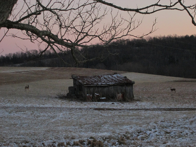 12101039525_c1d1a7caaf_z