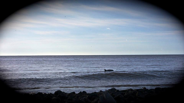 9011734610_99c5bbe646_z