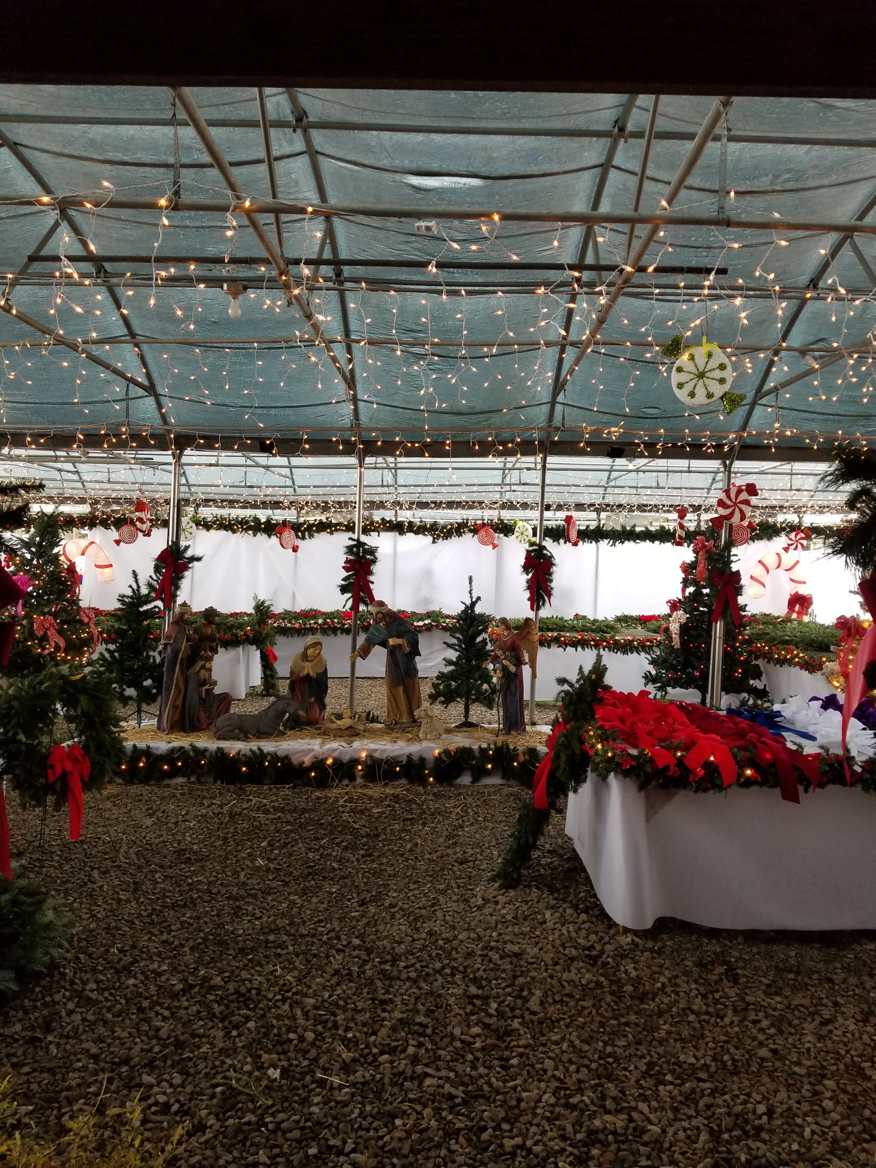 Christmas Maze Christmas Maze